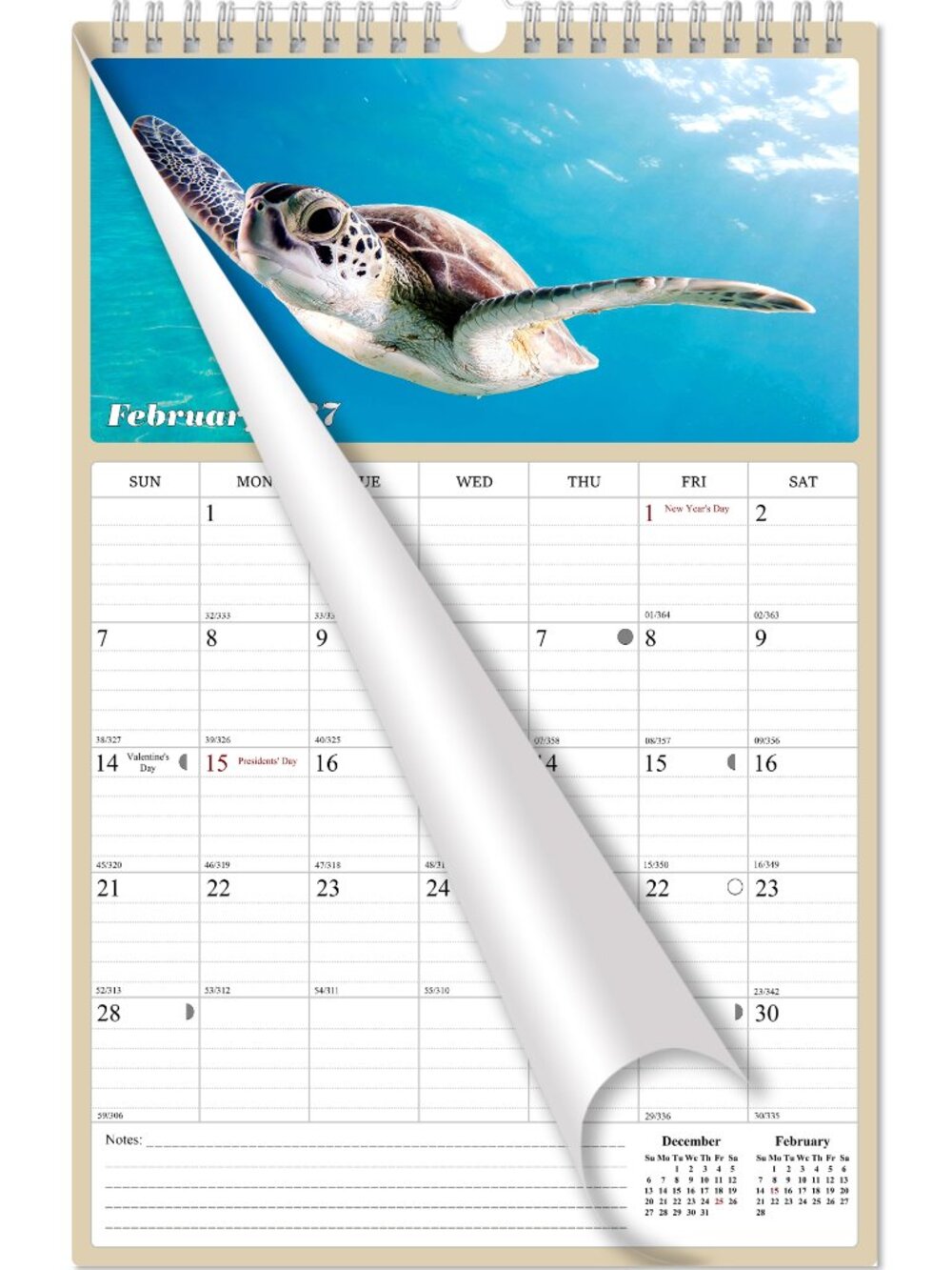 2027 Wall Calendar Spiral-bound Twin - 12 Months (Turtles) 11" x 17"